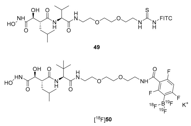 Scheme 10