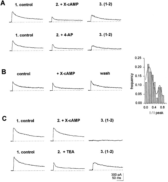 Fig. 5.