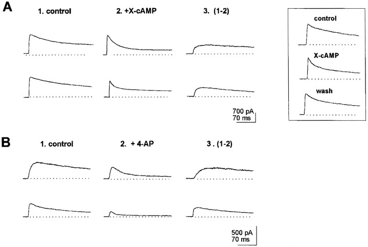 Fig. 3.