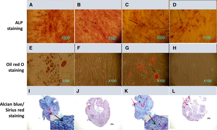 Fig. 1