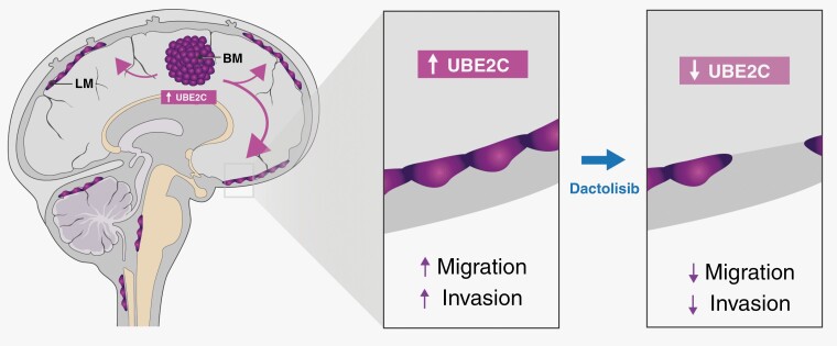 Graphical Abstract