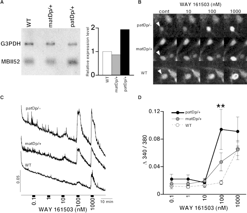 Figure 6