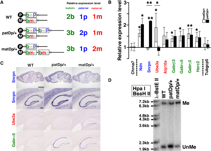 Figure 3