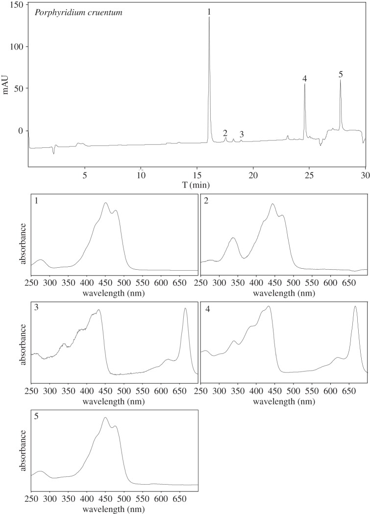 Figure 6.