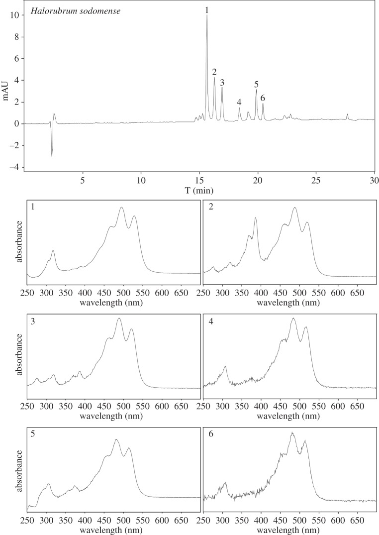 Figure 5.