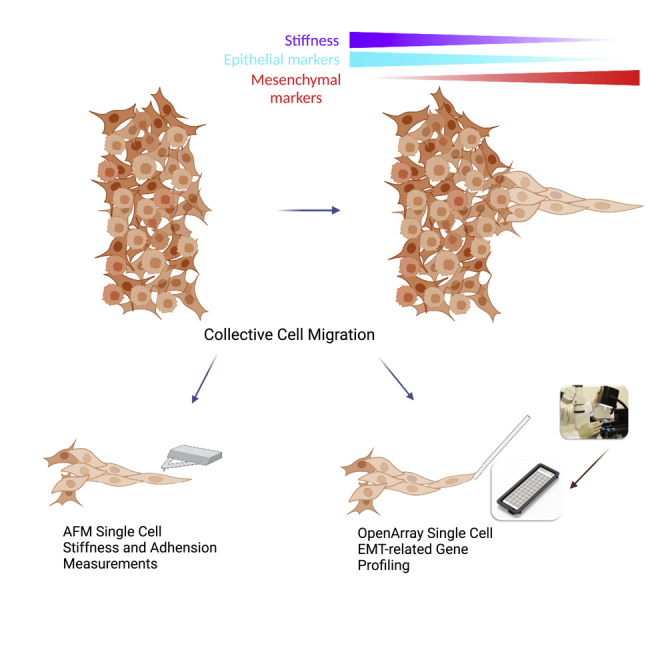 graphic file with name fx1.jpg