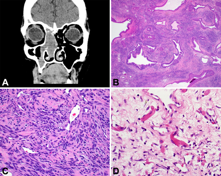 Fig. 8