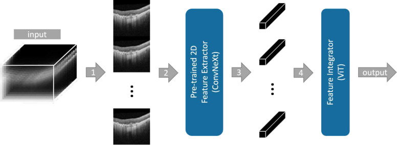 Figure 1 |