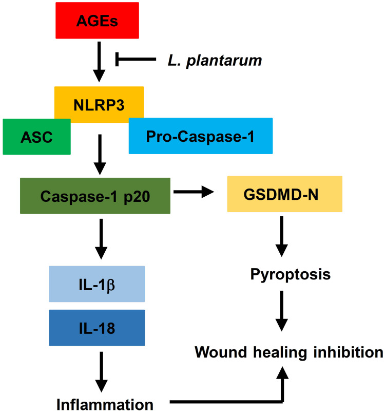 Figure 7