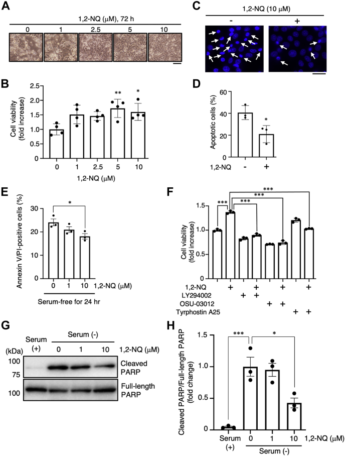 Figure 6