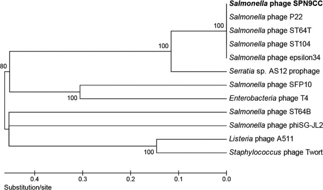 FIG 2