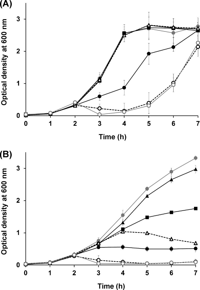 FIG 4