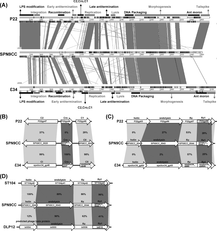 FIG 3