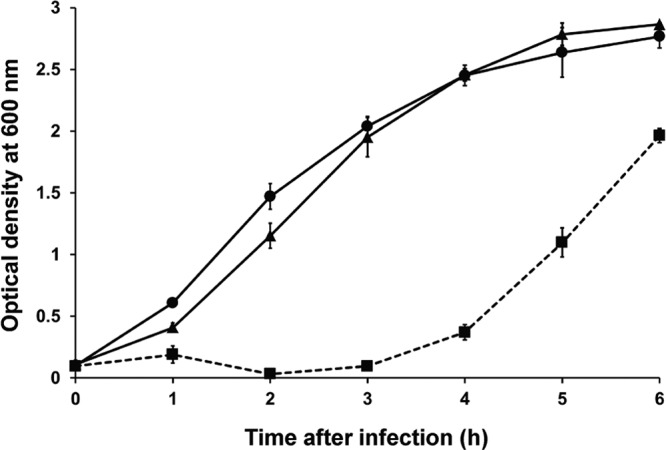 FIG 6