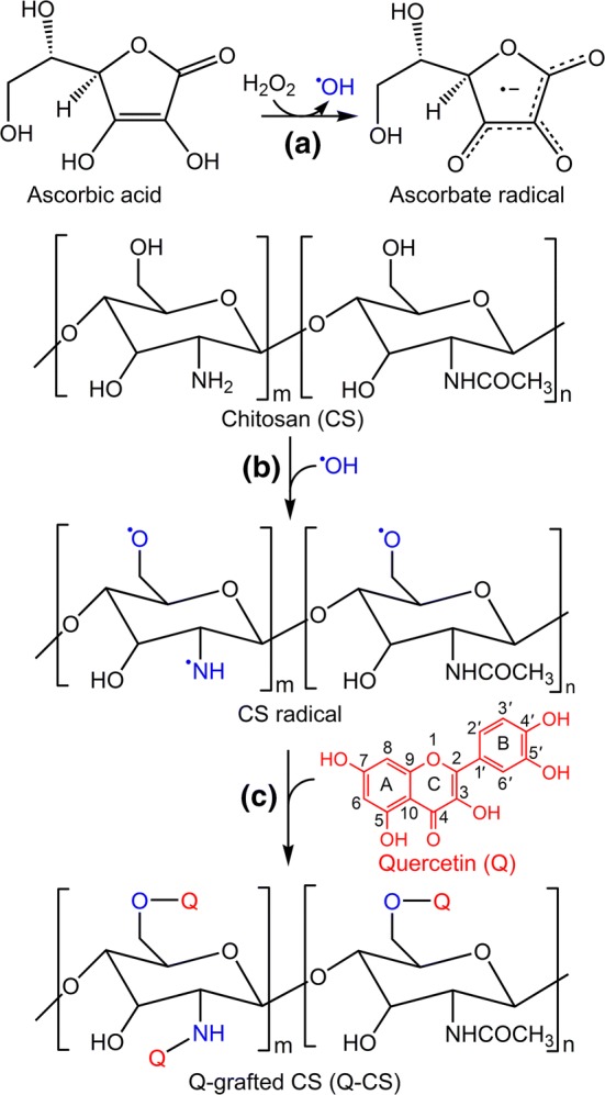 Fig. 1