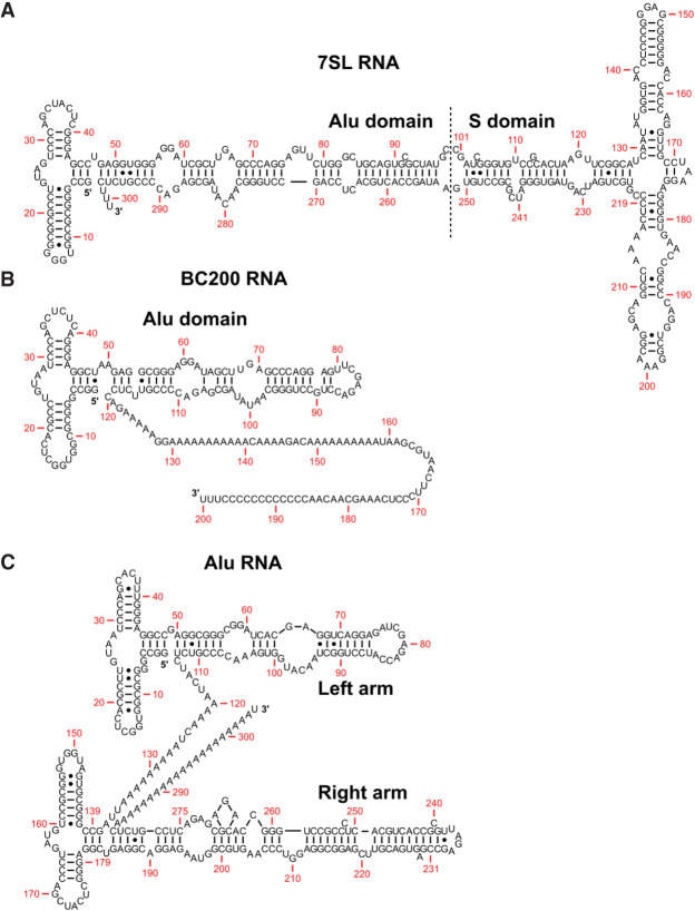 FIGURE 1.