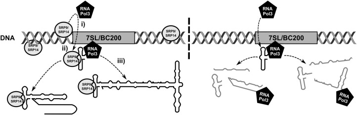 FIGURE 8.