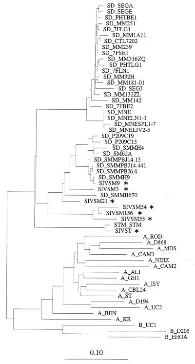 FIG. 1