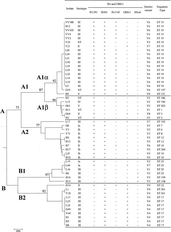 FIG. 1.