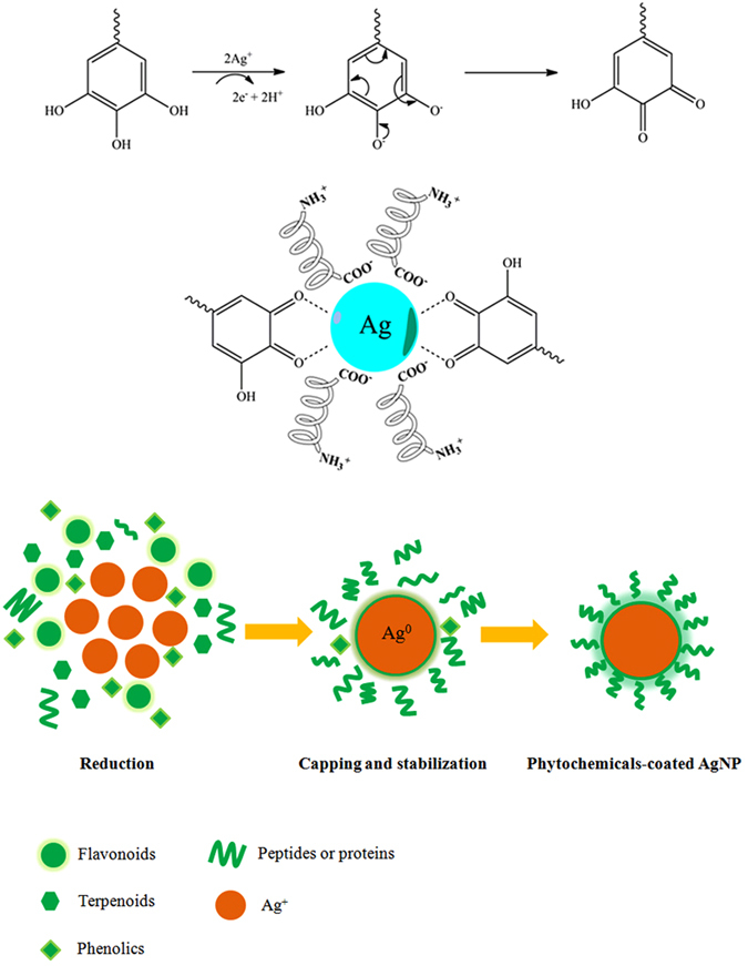 Figure 10