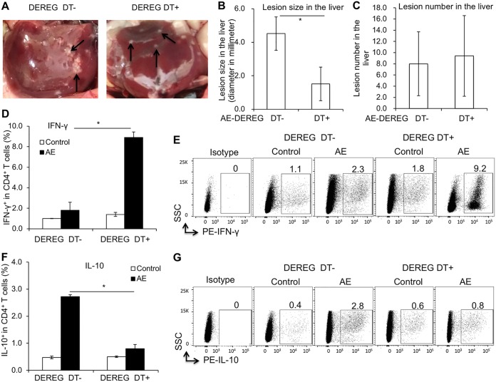 FIG 6