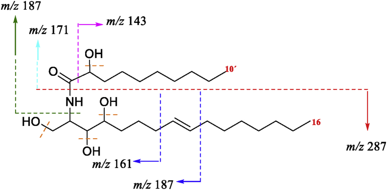 Figure 3