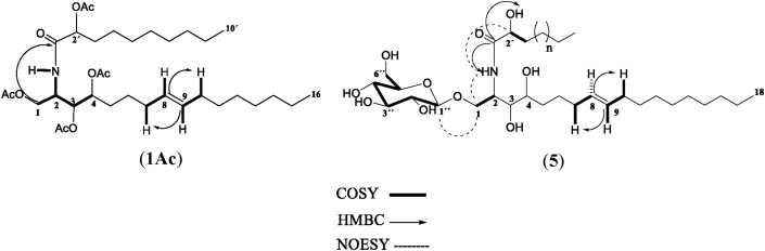 Figure 4