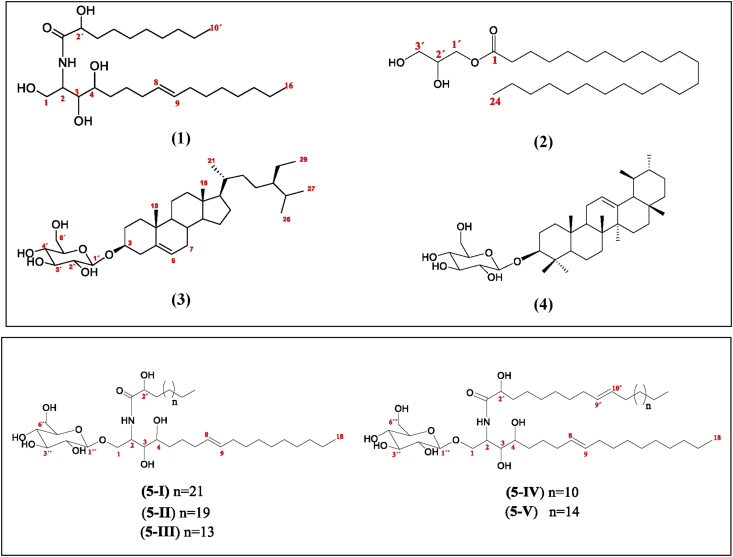 Figure 2