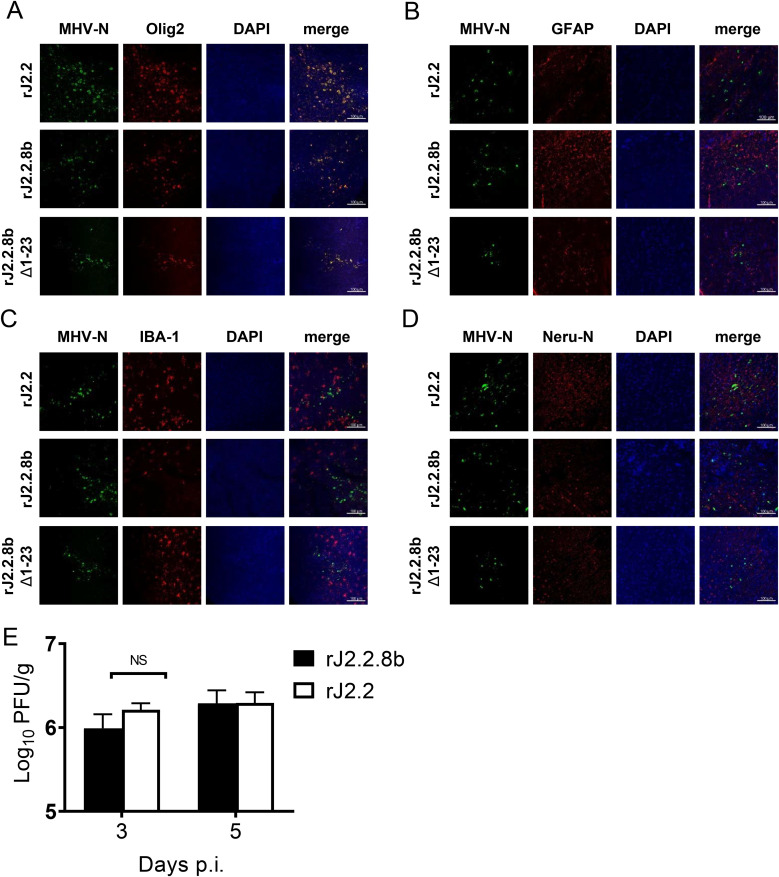 FIG 2