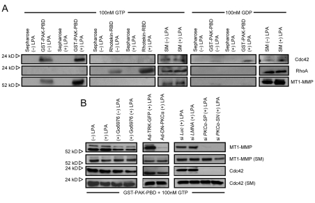 Fig. 8.