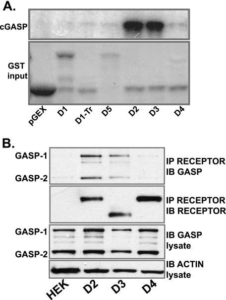 FIGURE 4.