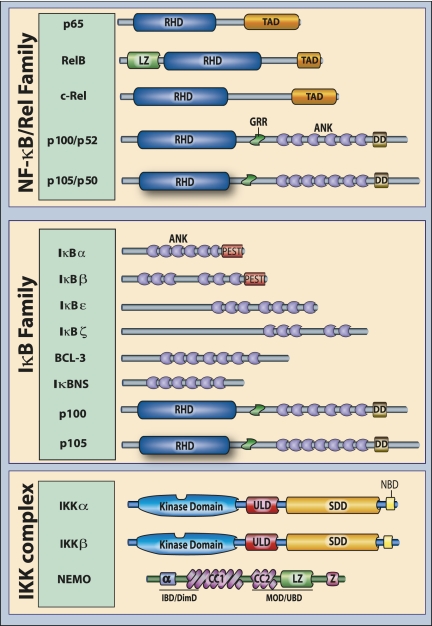 Figure 2.