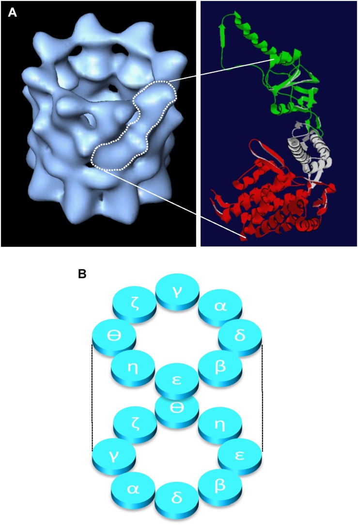 FIGURE 1