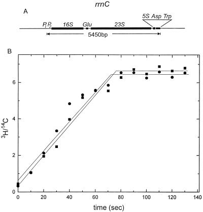 FIG. 6