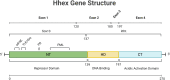 Figure 1