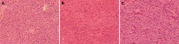 Fig. 5