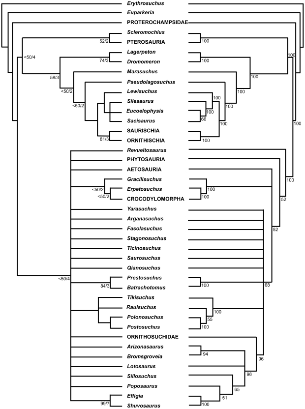 Figure 13