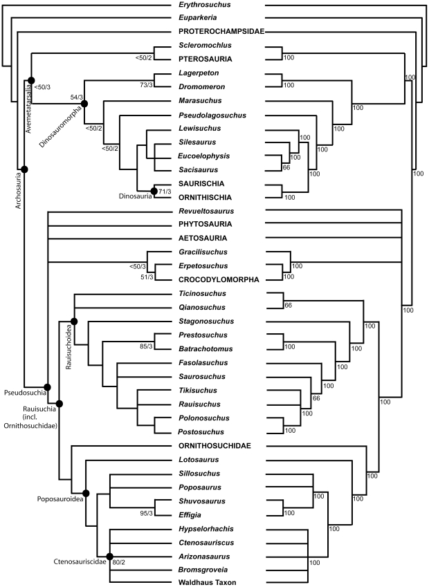 Figure 14