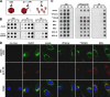 FIG. 3.