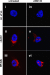 FIG. 6.