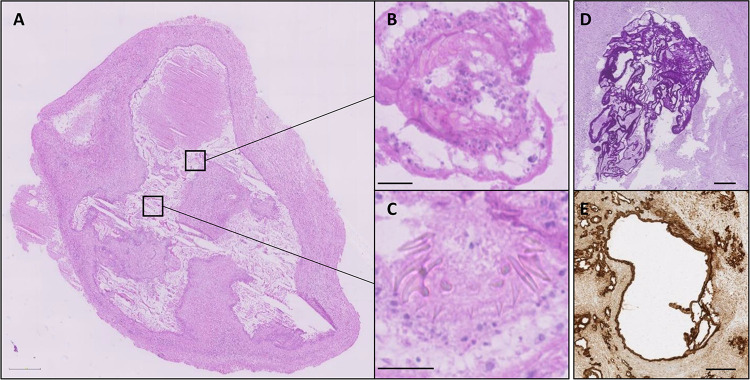 FIG. 2.