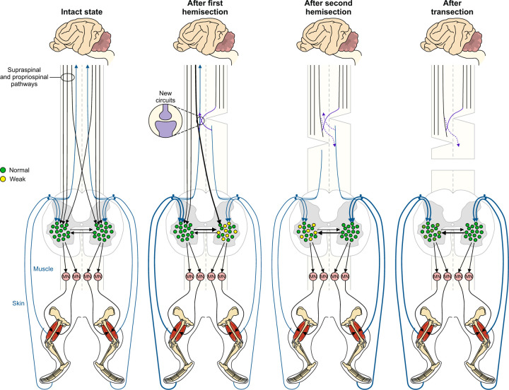 Figure 10.