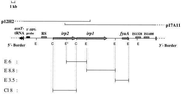 FIG. 1