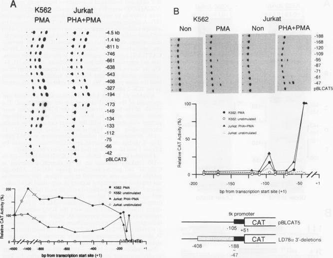 graphic file with name molcellb00017-0165-a.jpg