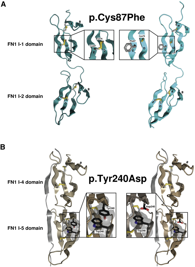 Figure 5