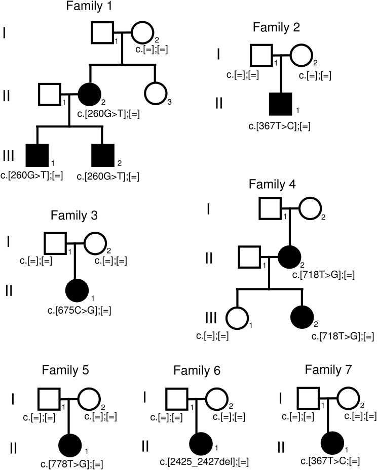 Figure 1