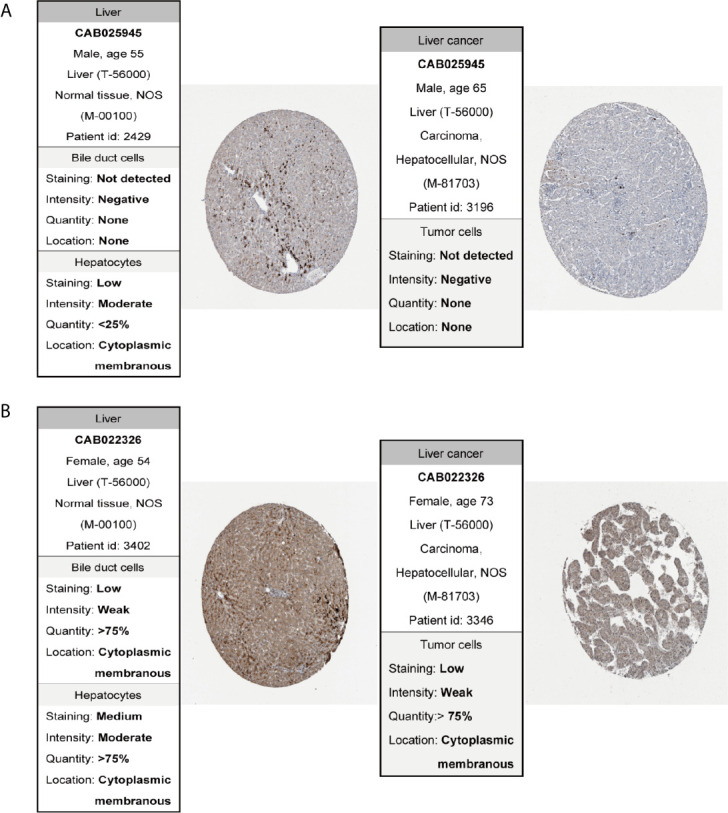 Figure 12