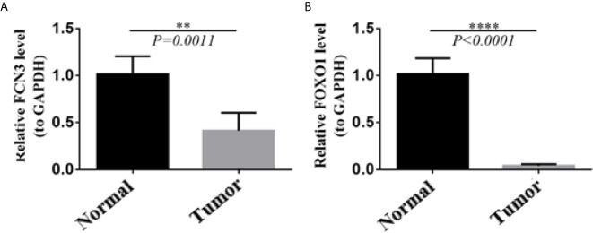 Figure 13