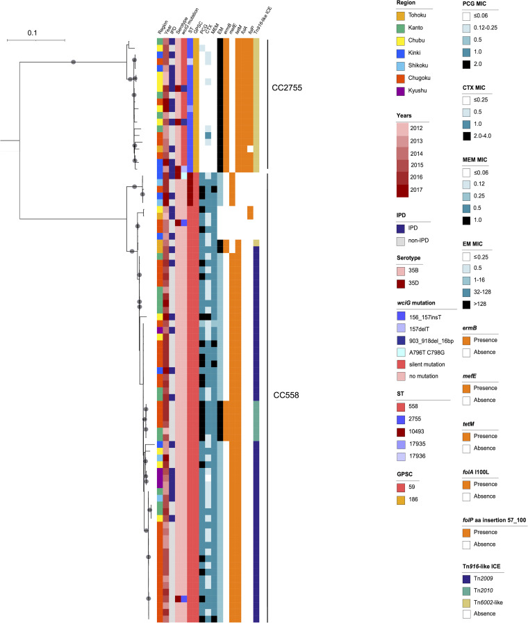 FIG 1