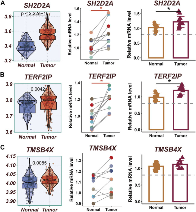 FIGURE 10